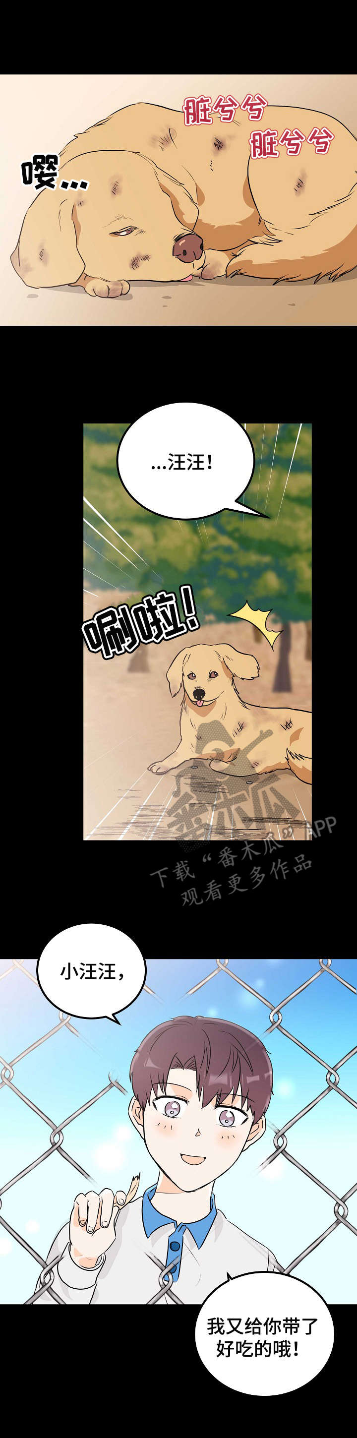 第19章：流浪狗8
