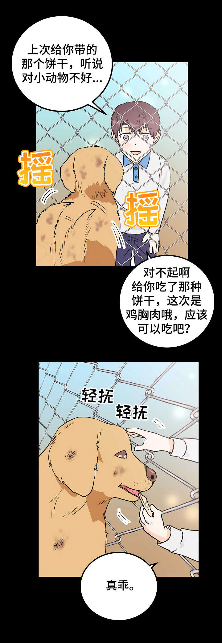 第19章：流浪狗9