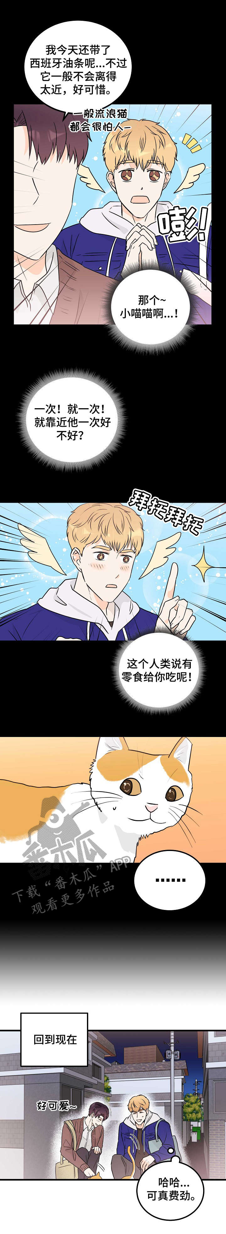 第13章：表白3