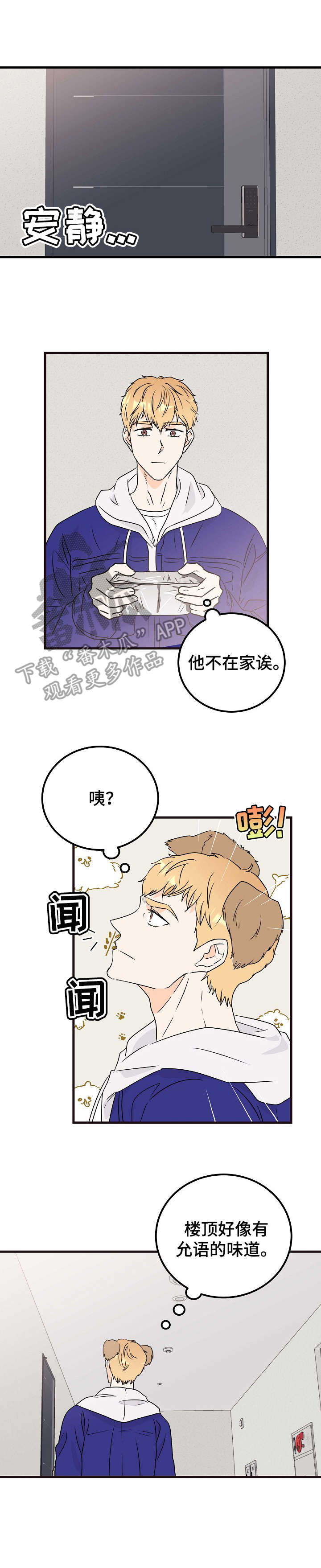 第19章：流浪狗2