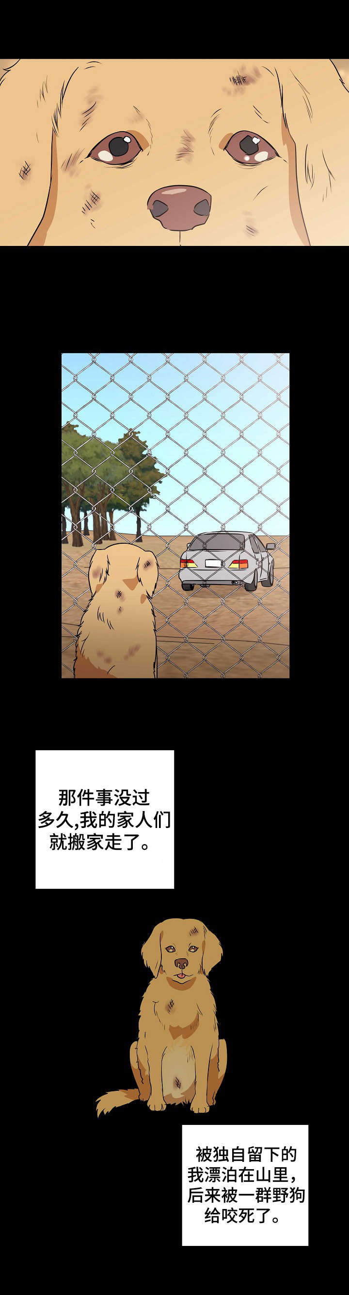 第19章：流浪狗11