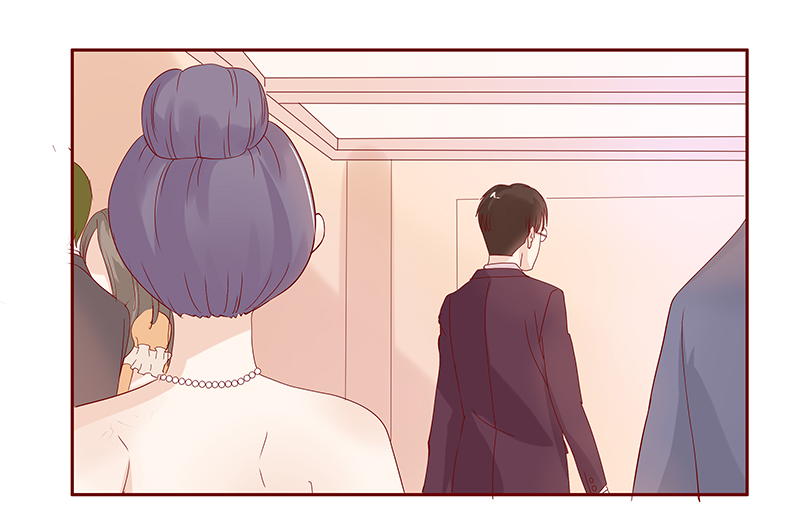 第91章：再见叶婉晴19