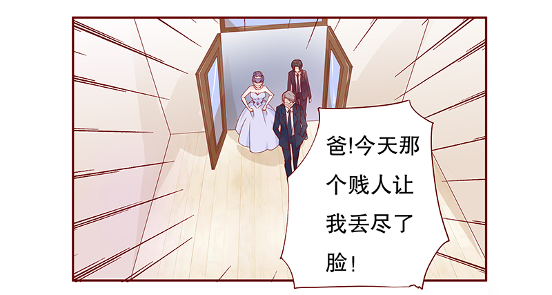 第97章：叶家的私生女15