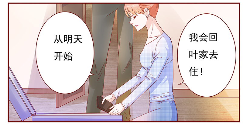 第132章：重回叶家14