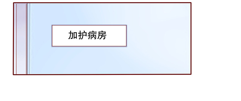 第81章：森森的希望18