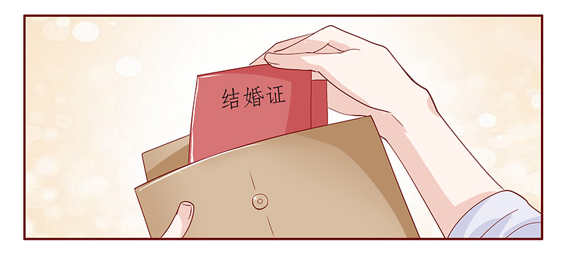 第87章：结婚的文件10