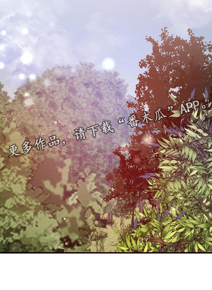 第5章：哄骗26