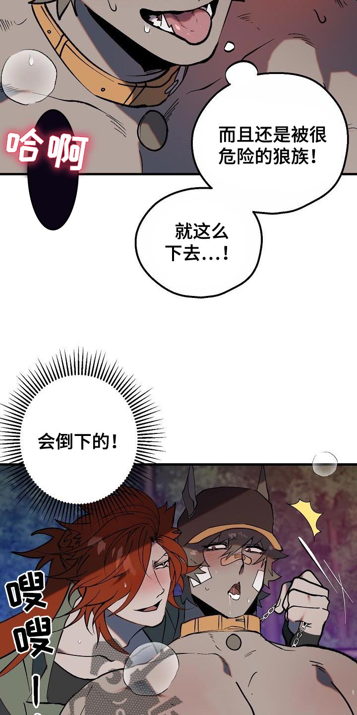 第5章：哄骗19