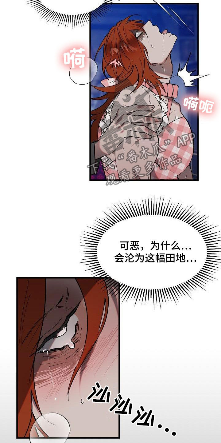 第10章：七年15
