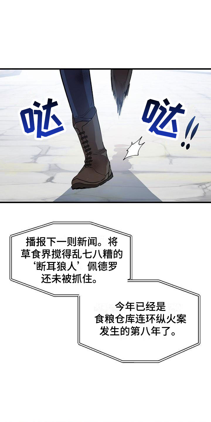 第1章：就是这了13