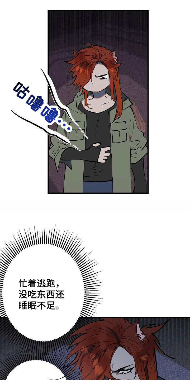 第1章：就是这了26