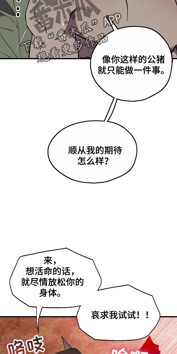 第5章：哄骗20