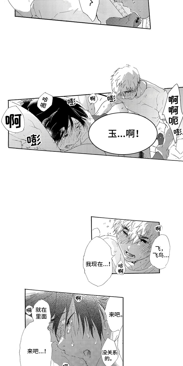 第12章：计划9