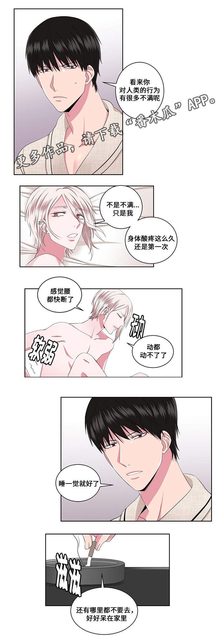 第17章：花样10