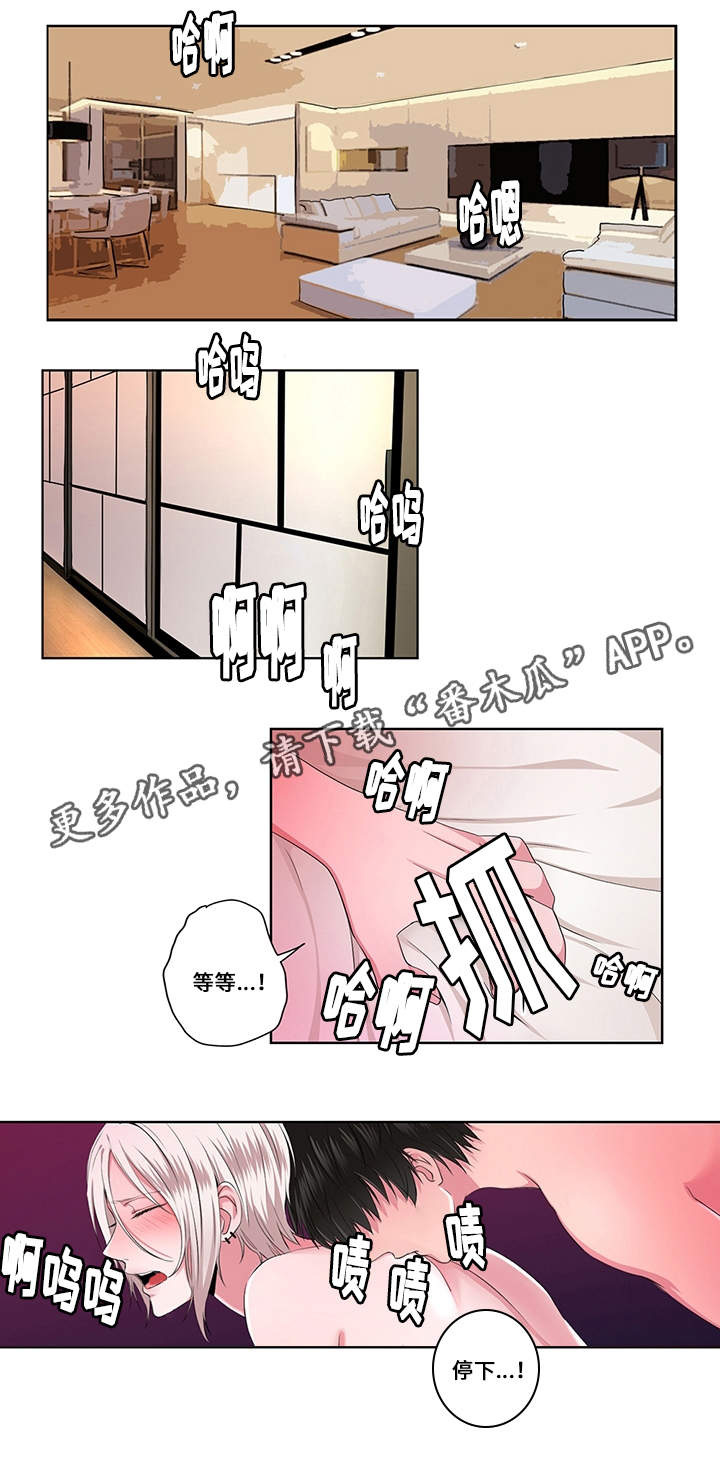 第17章：花样5