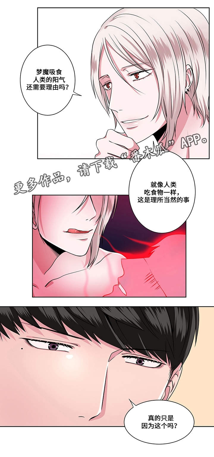 第11章：问与答11