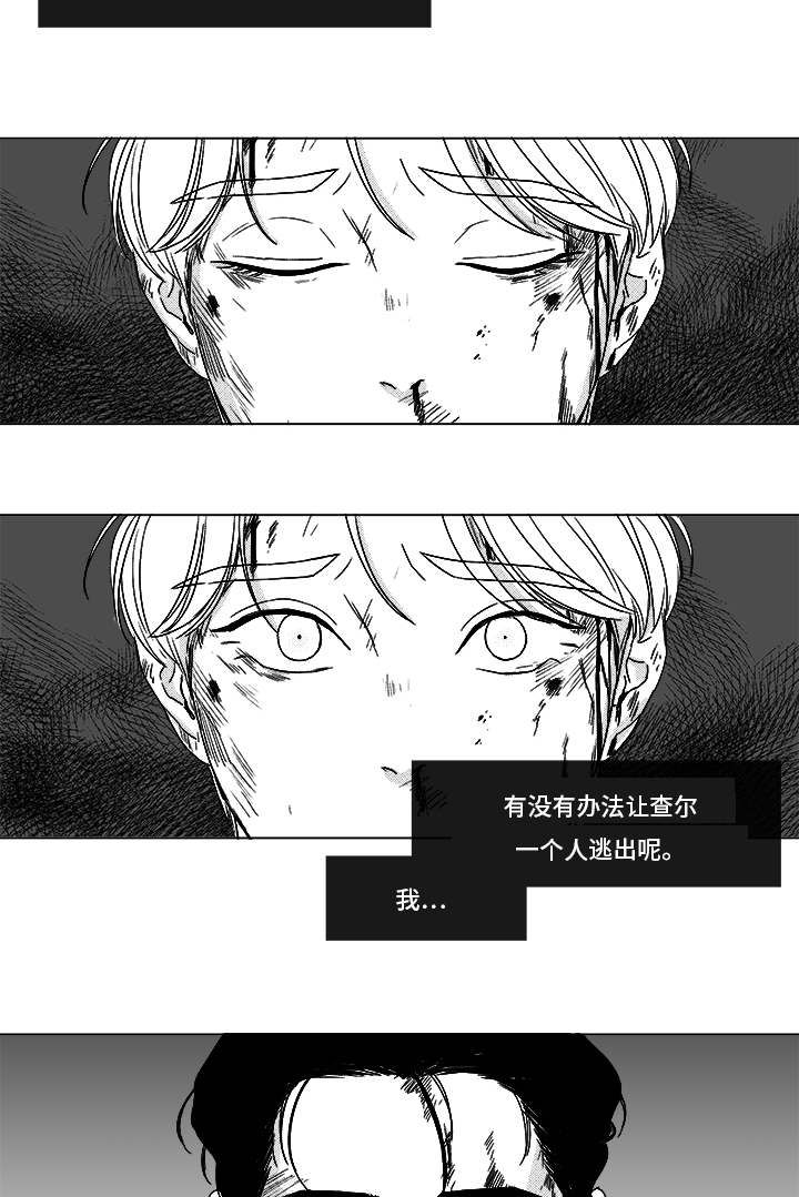 第82章：开牌9