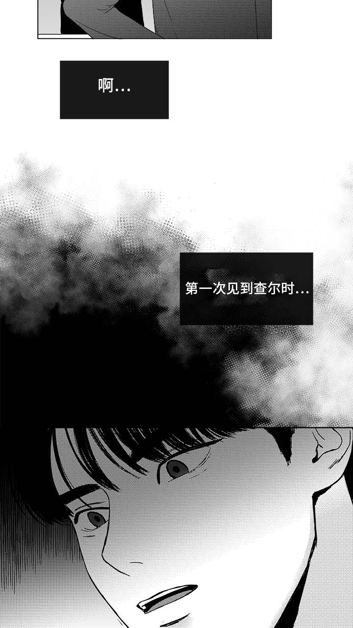 第82章：开牌18
