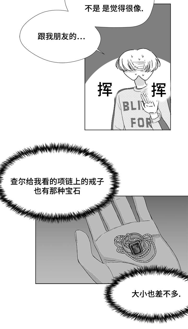 第61章：相像的宝石15