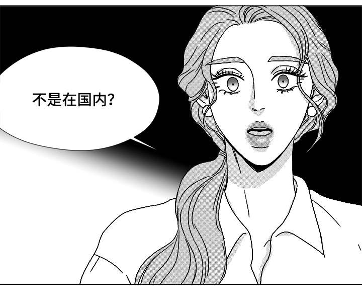 第61章：相像的宝石20