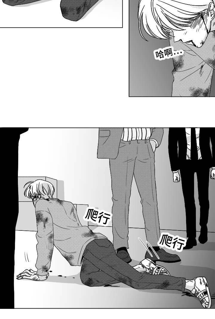 第81章：看到你就可以了19