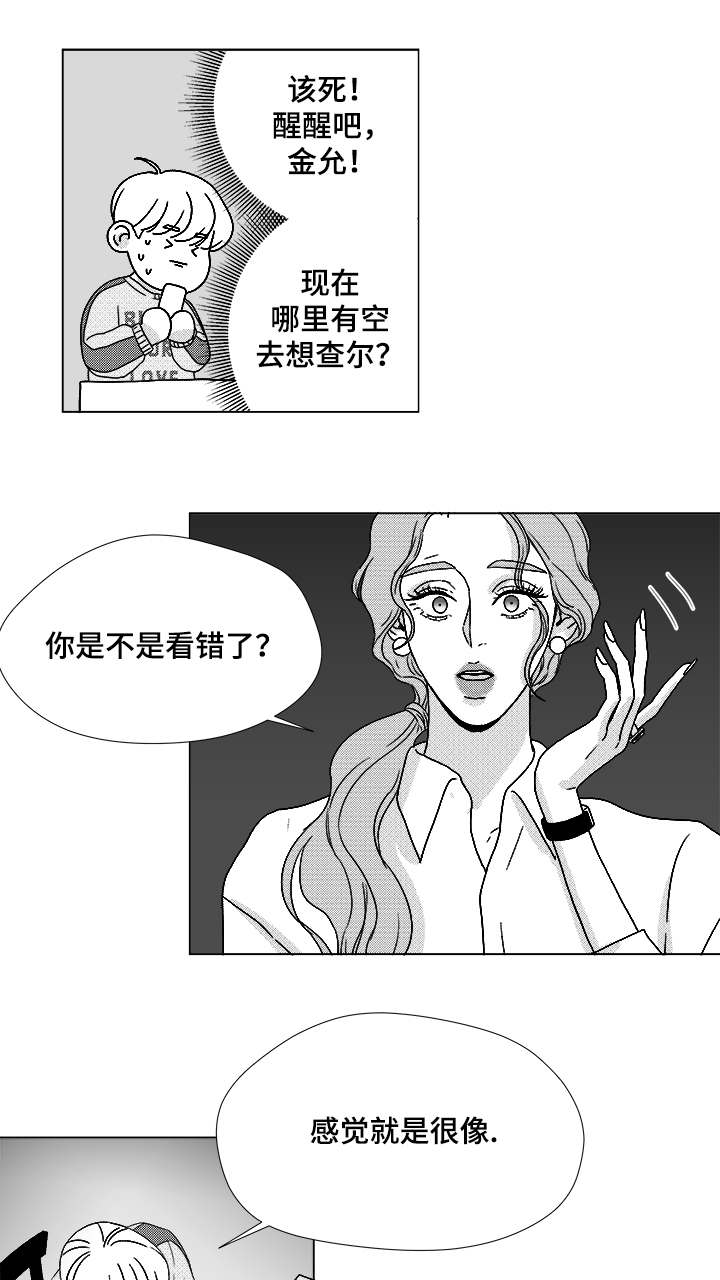 第61章：相像的宝石16