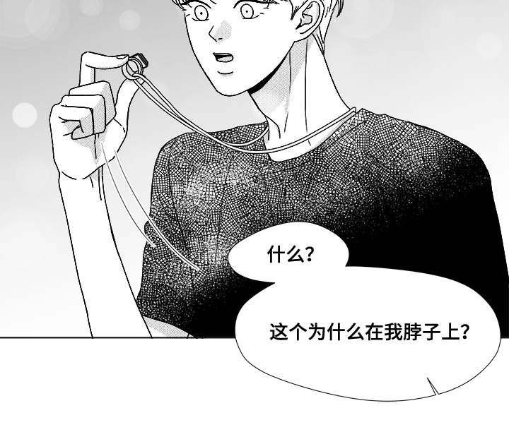 第74章：项链28