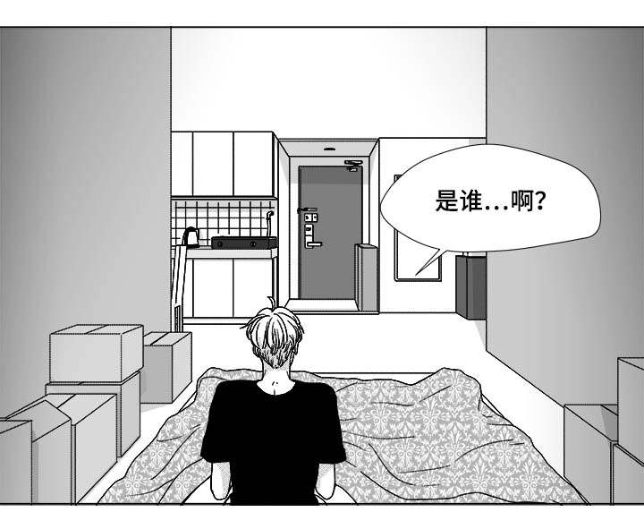 第75章：来信息了3
