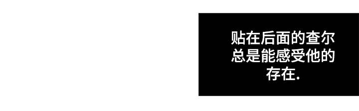 第66章：盲目的信任6