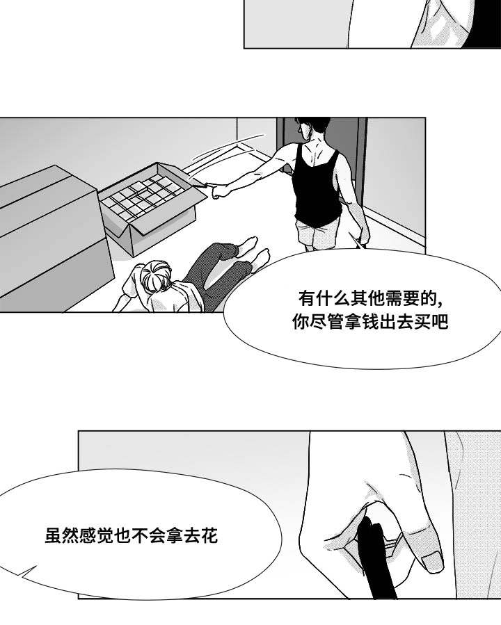 第34章：捡到的20