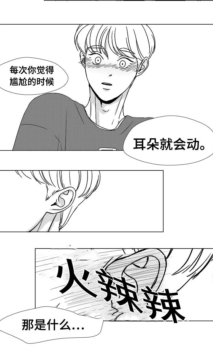 第41章：误会5