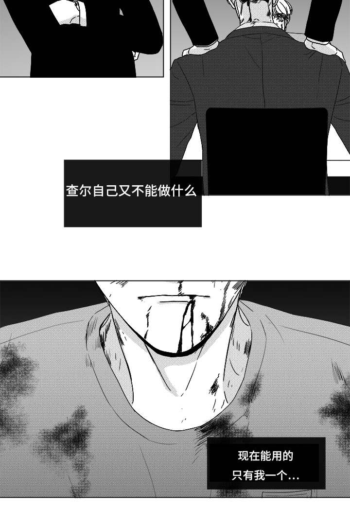 第82章：开牌1