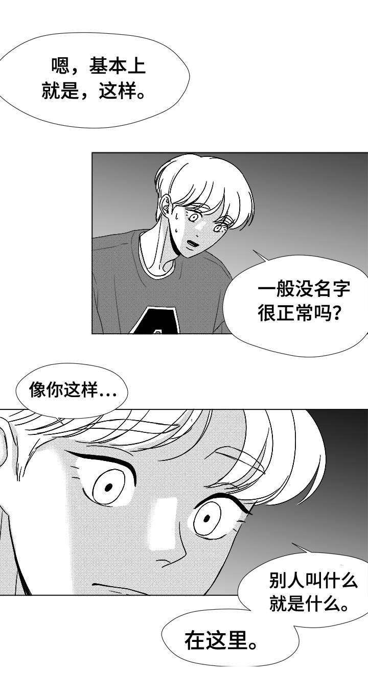 第41章：误会3