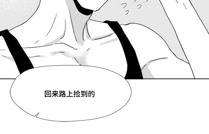 第34章：捡到的24