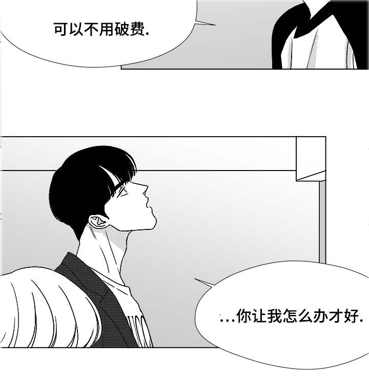 第52章：你让我怎么办才好18