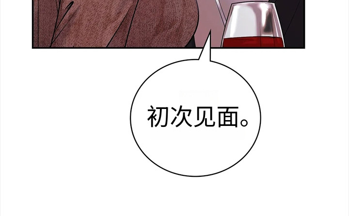 第11章：见面15