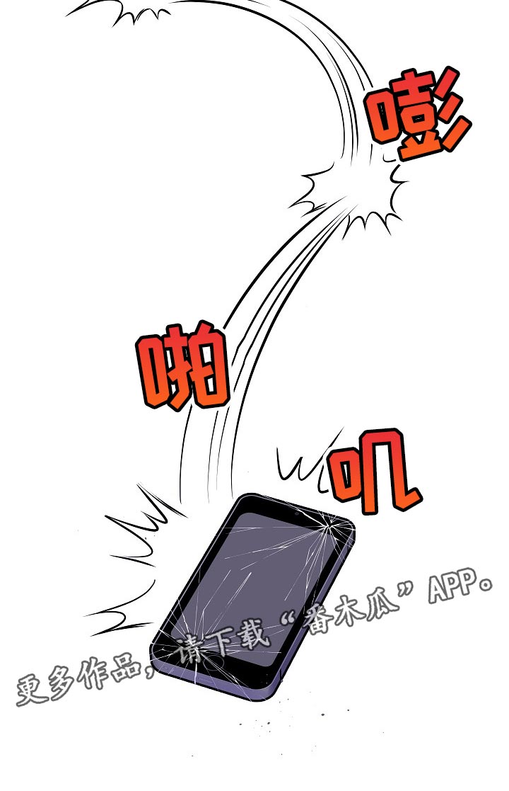 第30章：摔手机20