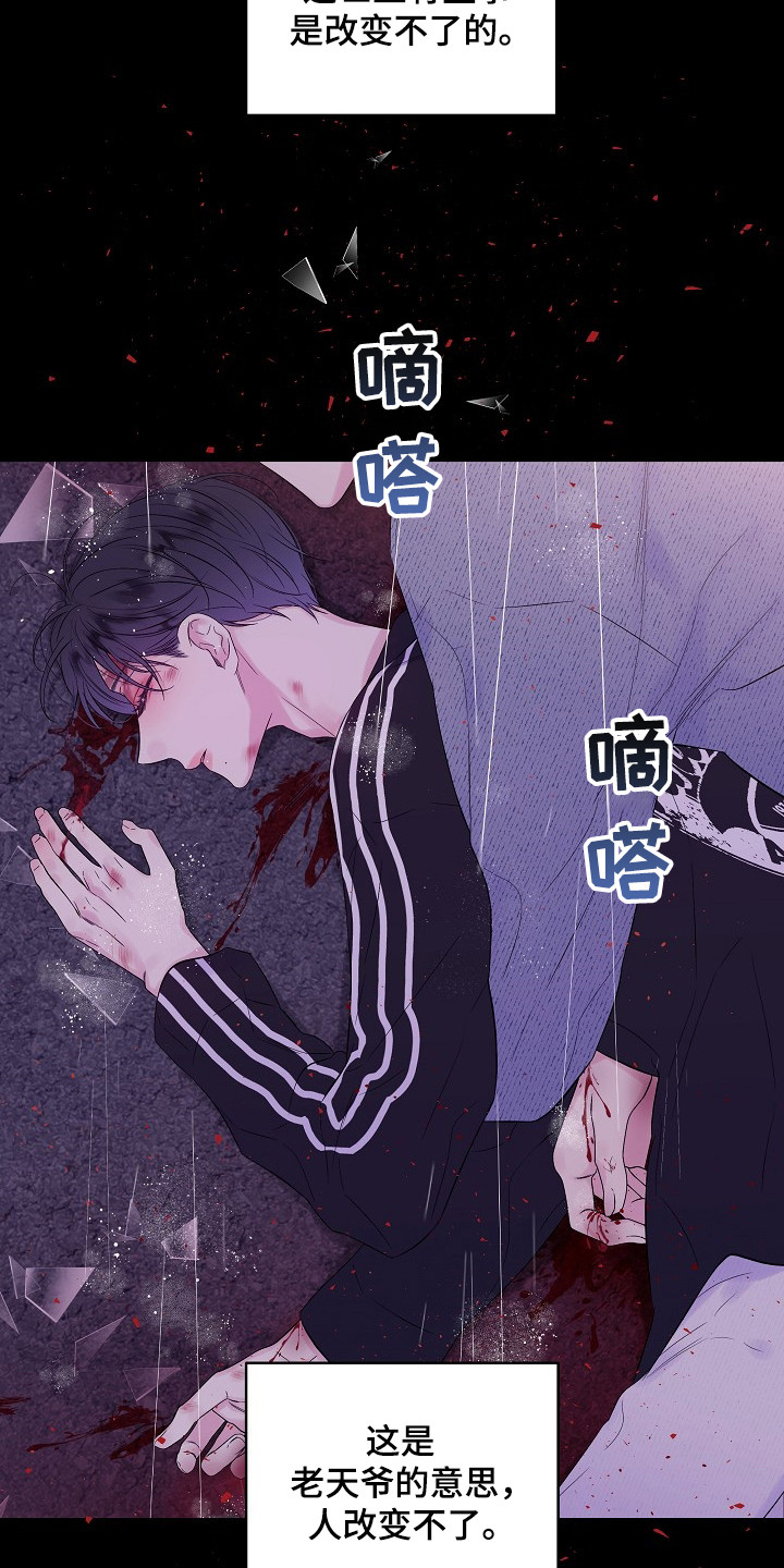 第1章：无法改变的命运24