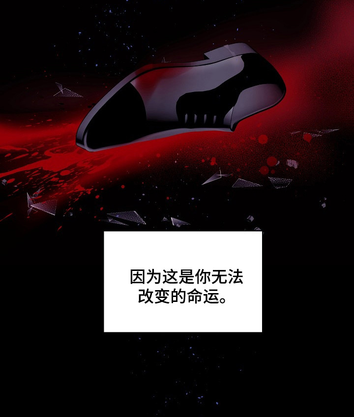 第1章：无法改变的命运27