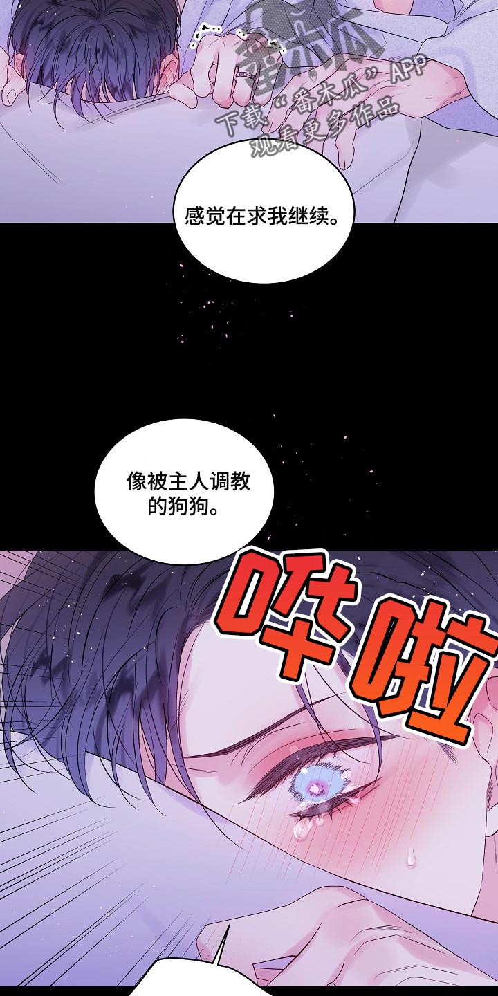 第23章：习惯14