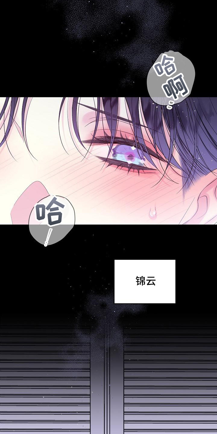 第15章：撞见24