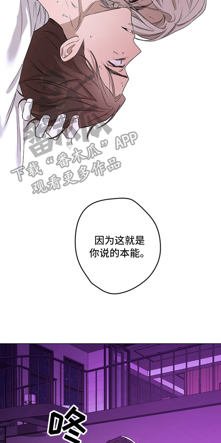 第6章：本能4