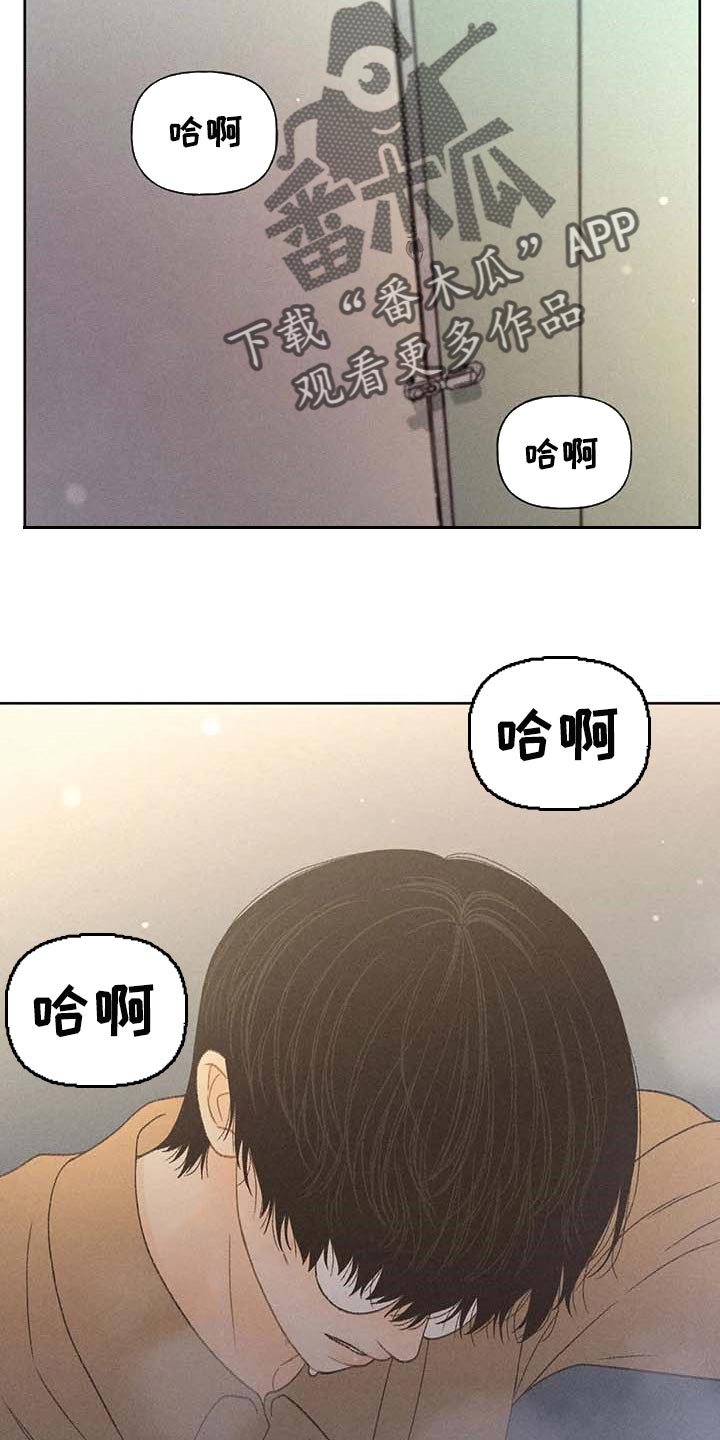 第31章：利用2