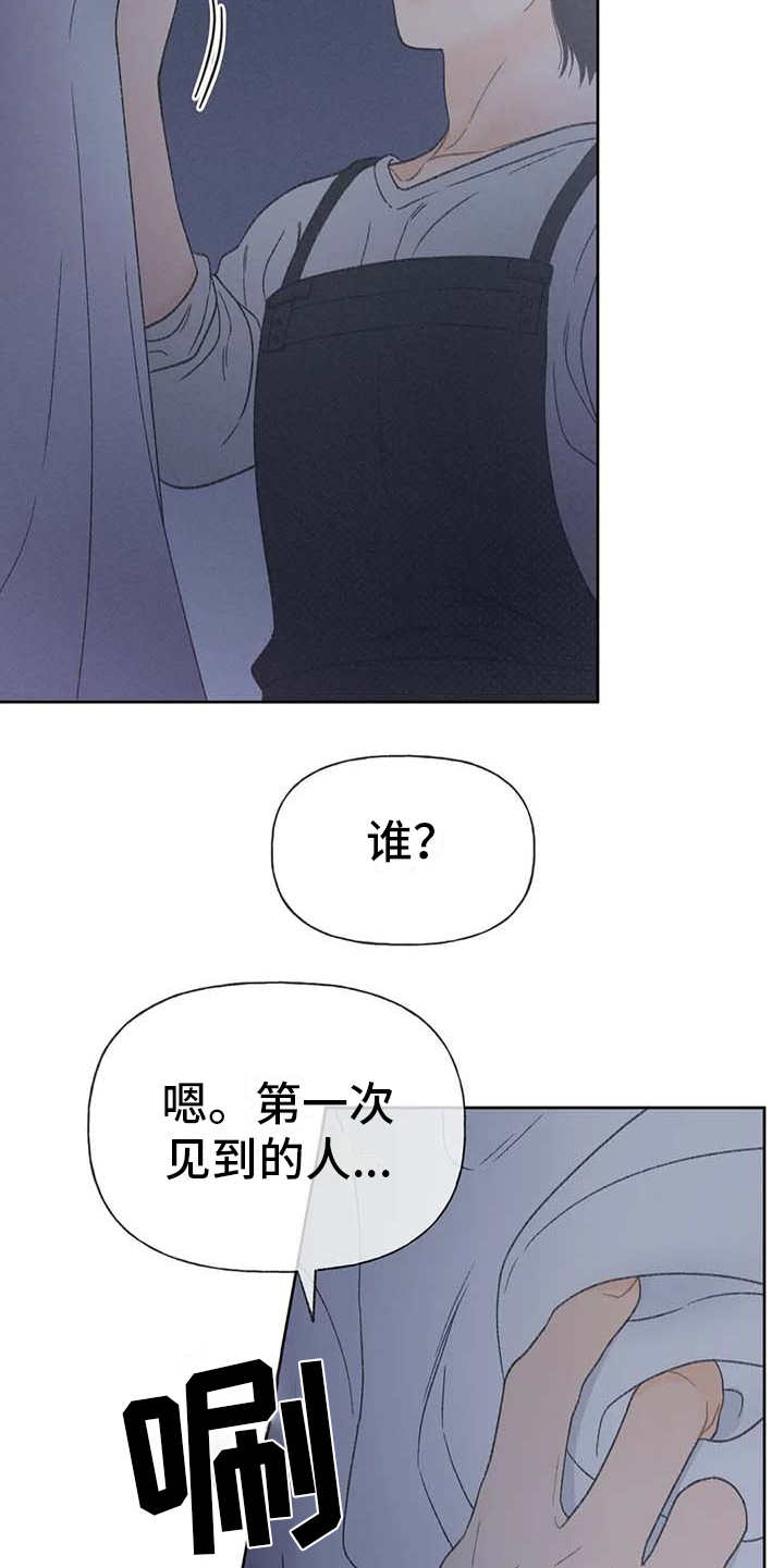 第12章：头疼消失11