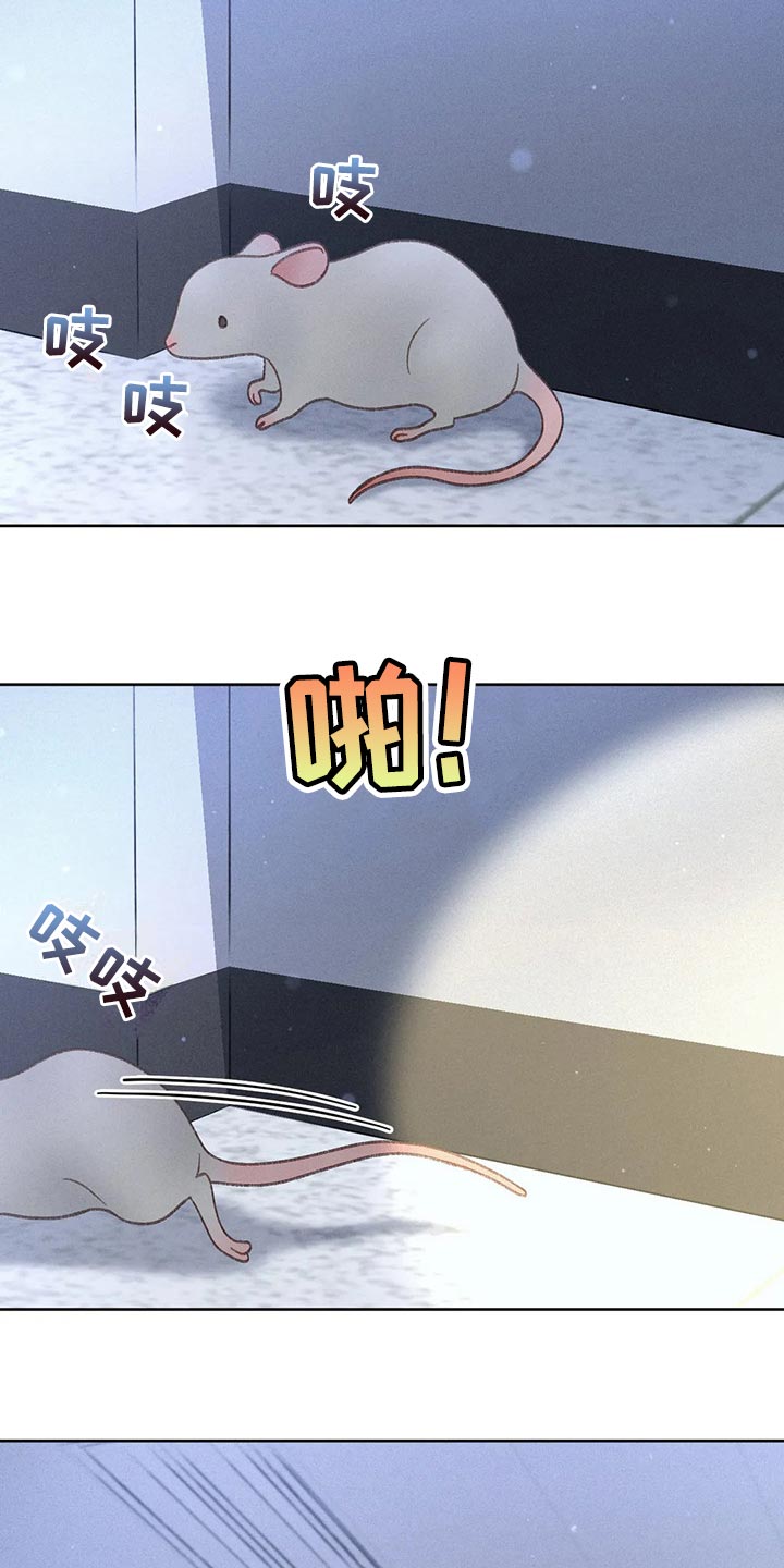 第51章：【第二季】我试试14