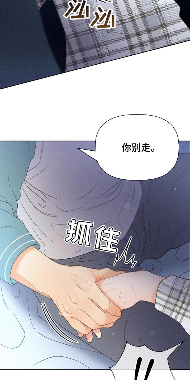 第62章：【第二季】告白1