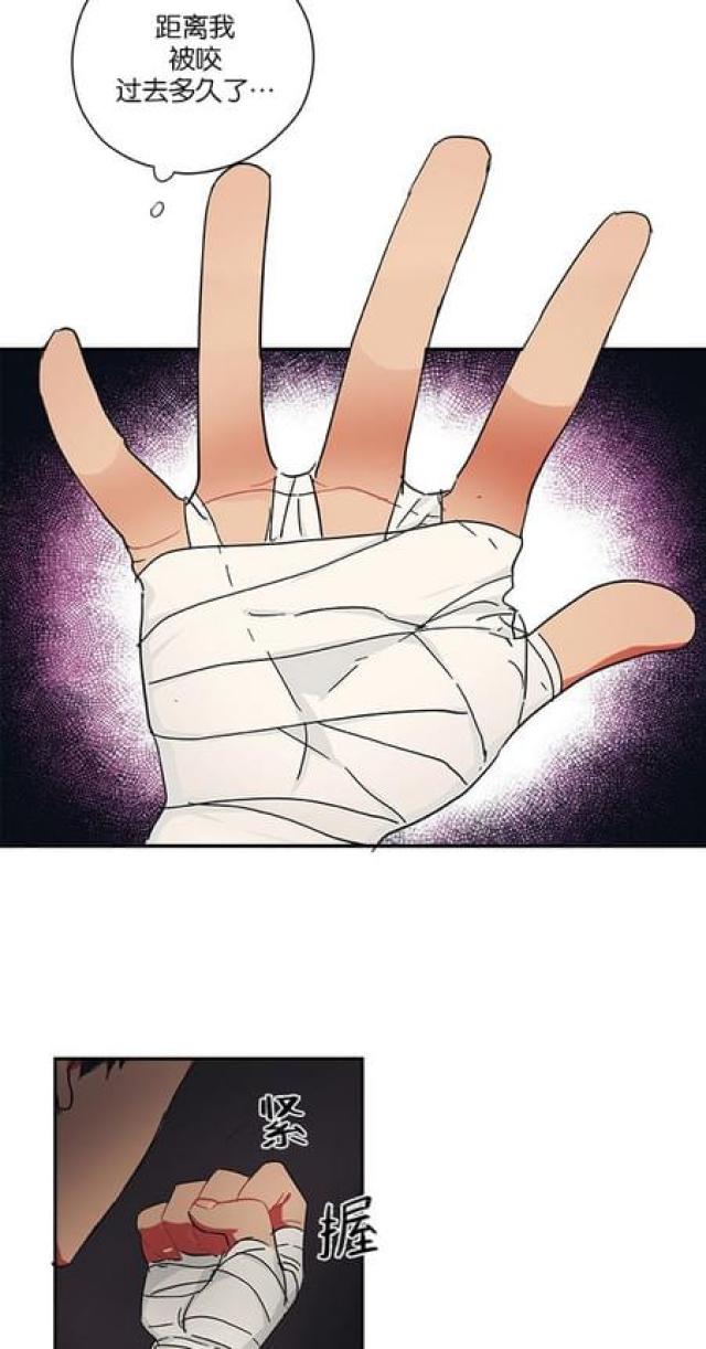 第53话7