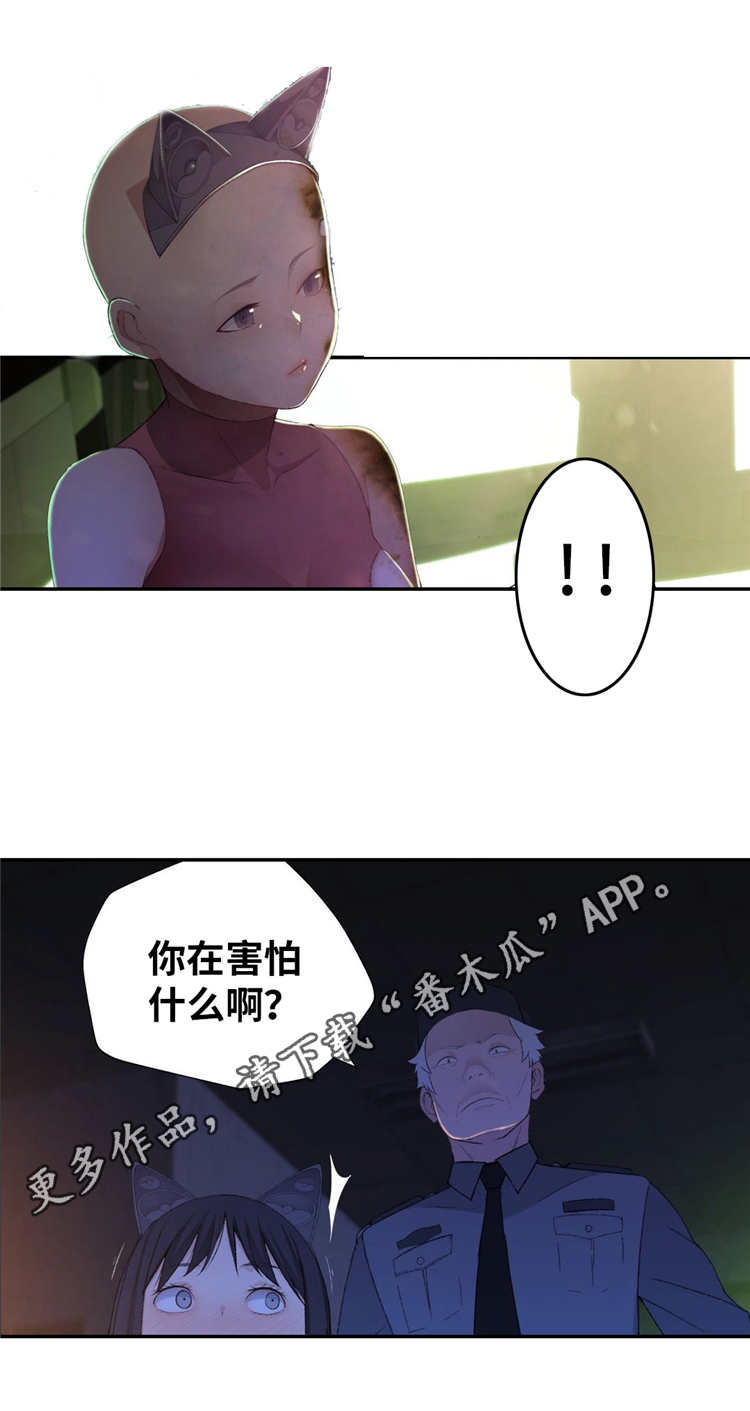 第10章：业余爱好16