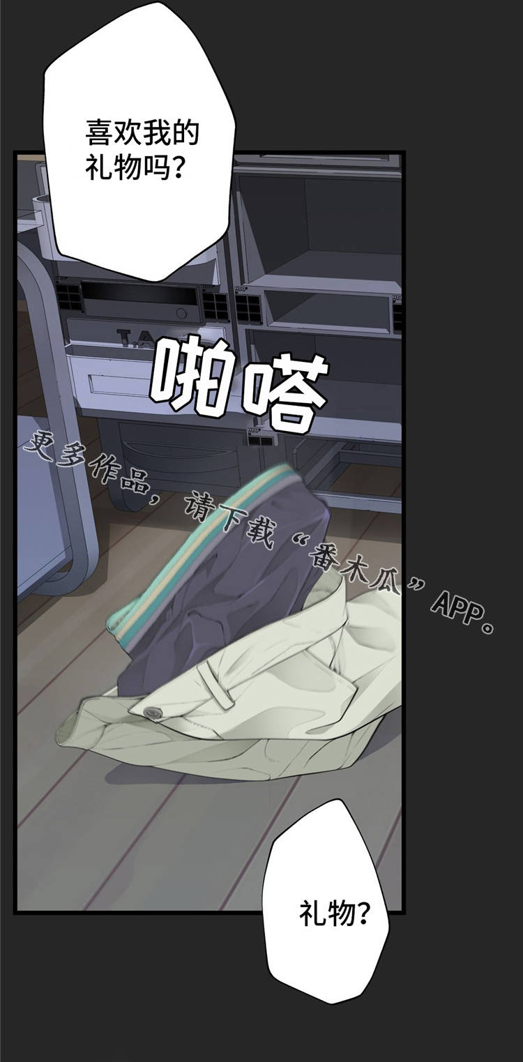 第19章：礼物11