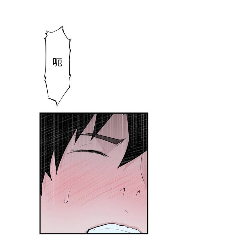 第24章：奇怪的数值5